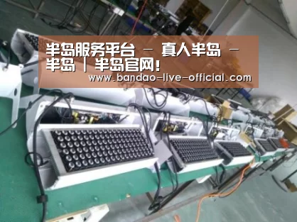 半岛真人案例展示一