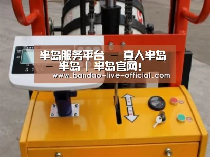 半岛真人案例展示三