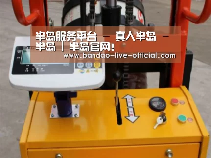 半岛真人案例展示三(图1)