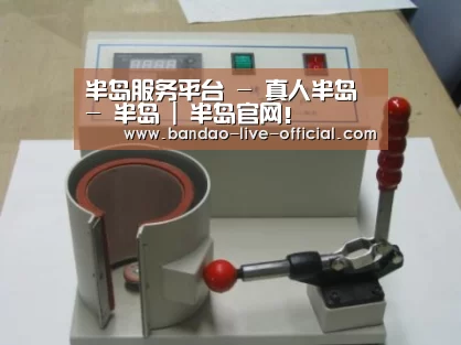 半岛真人案例展示六