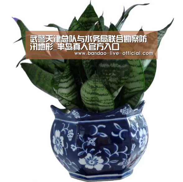 武警天津总队与水务局联合勘察防汛地形_半岛真人官方入口(图2) 半岛真人官网