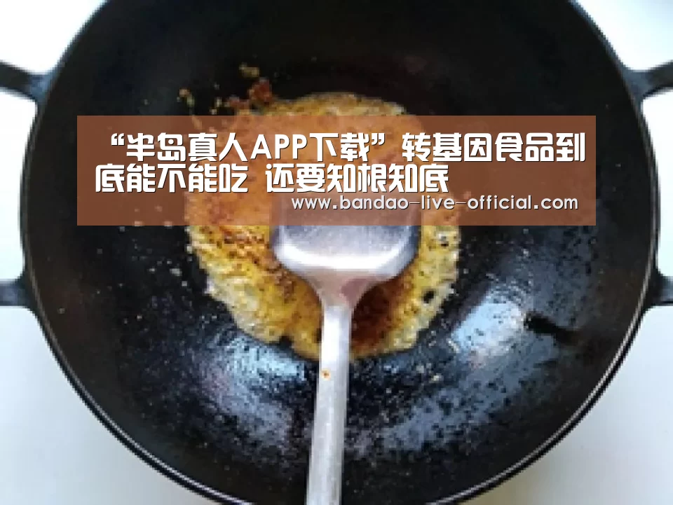 半岛真人APP下载