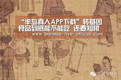 半岛真人APP下载