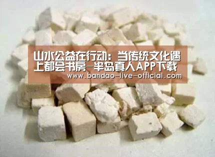 山水公益在行动:当传统文化遇上都会书房-半岛真人APP下载(图3) 半岛真人