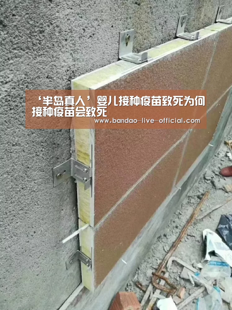半岛真人官方入口
