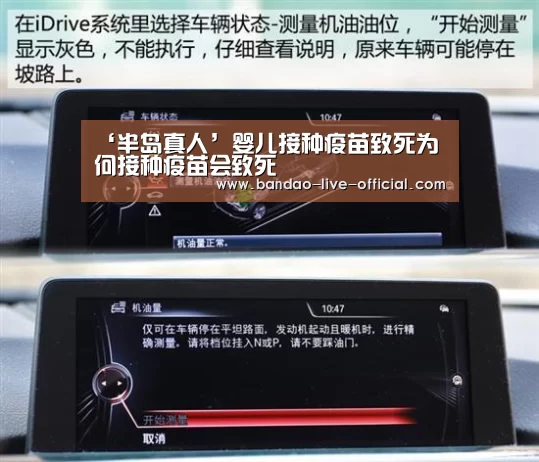 半岛真人APP下载