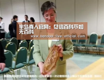 半岛真人APP下载