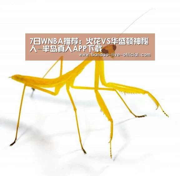 半岛真人