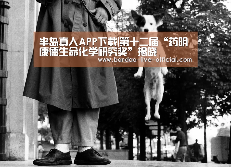 半岛真人