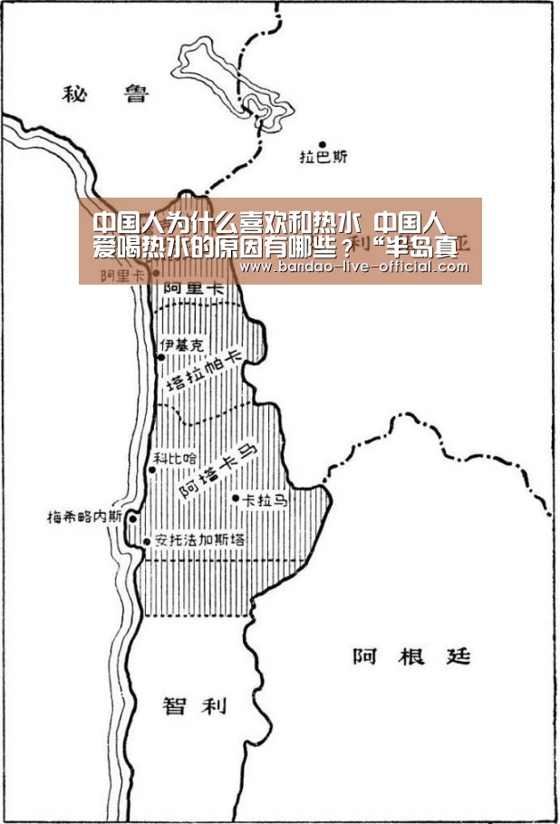 半岛真人APP下载