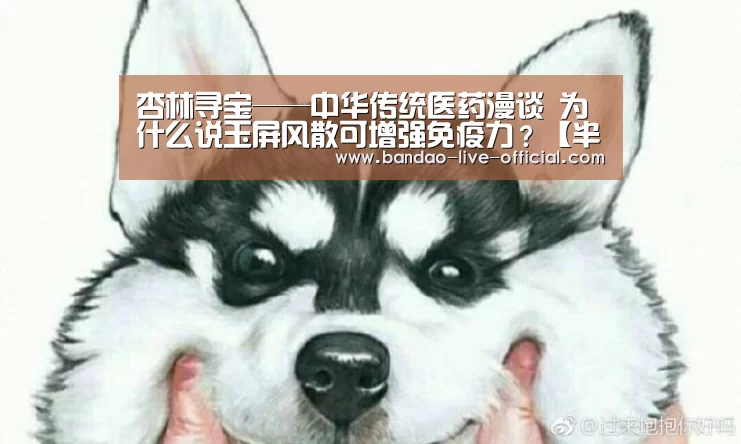 杏林寻宝——中华传统医药漫谈 为什么说玉屏风散可增强免疫力?【半岛真人官方入口】(图2) 半岛真人官网