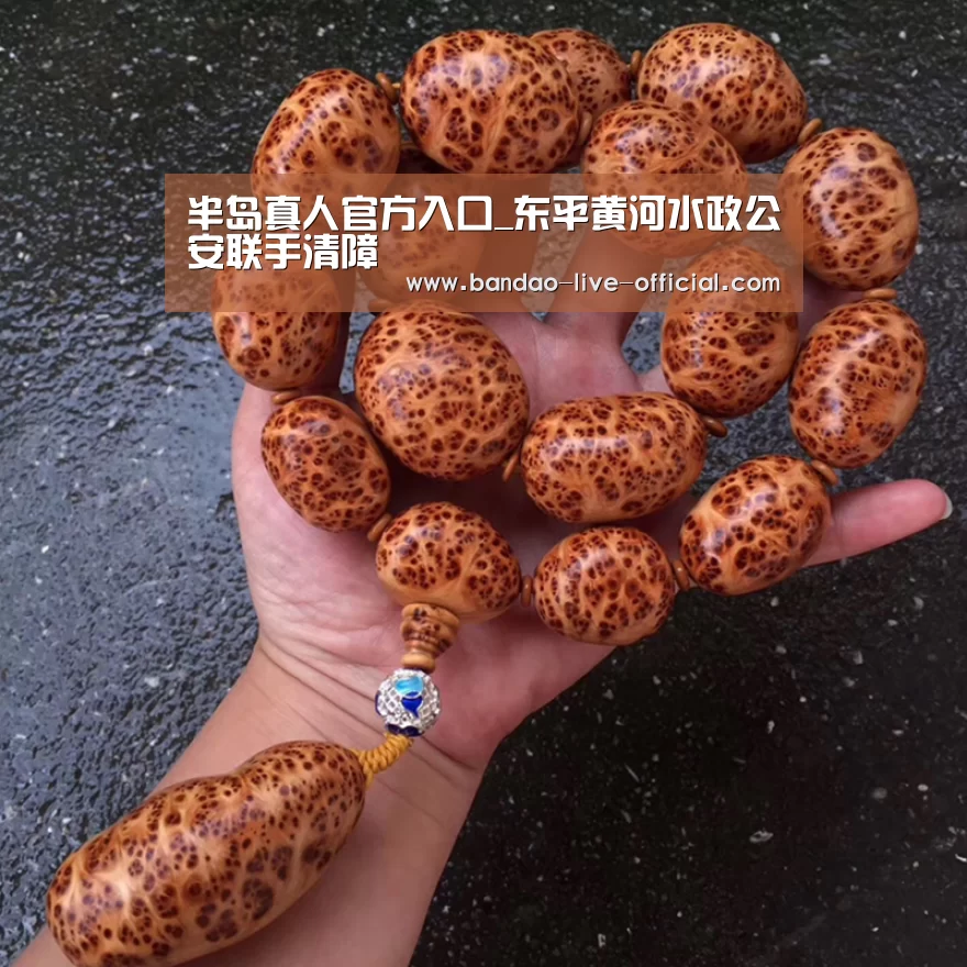 半岛真人官方入口_东平黄河水政公安联手清障(图1) 半岛真人官网
